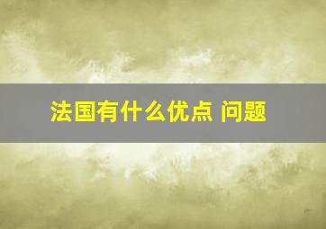 法国有什么优点 问题